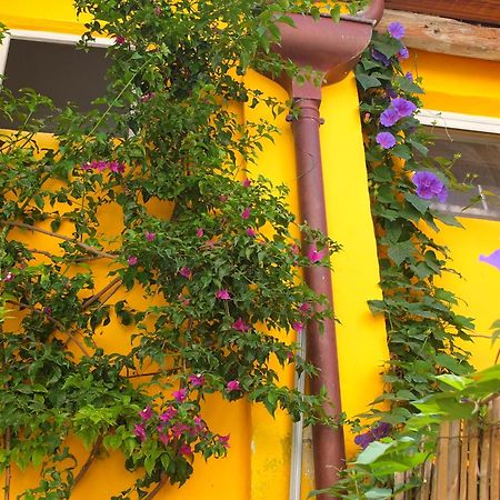 La Maison Jaune Sète Zimmer foto