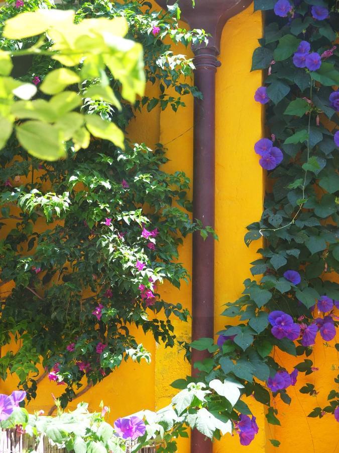 La Maison Jaune Sète Exterior foto