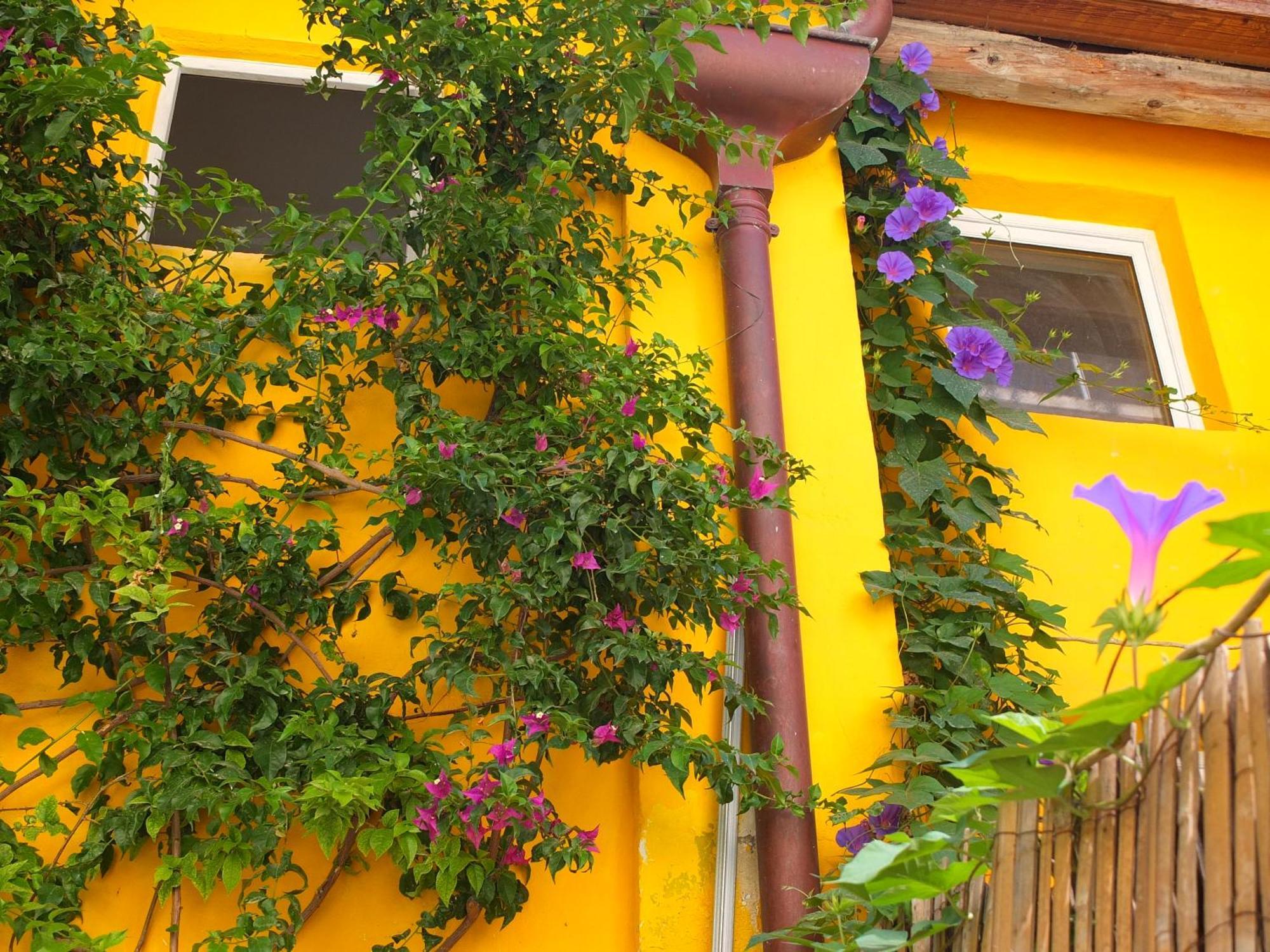 La Maison Jaune Sète Zimmer foto